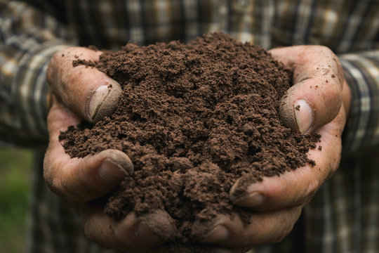 Soil Meaning
