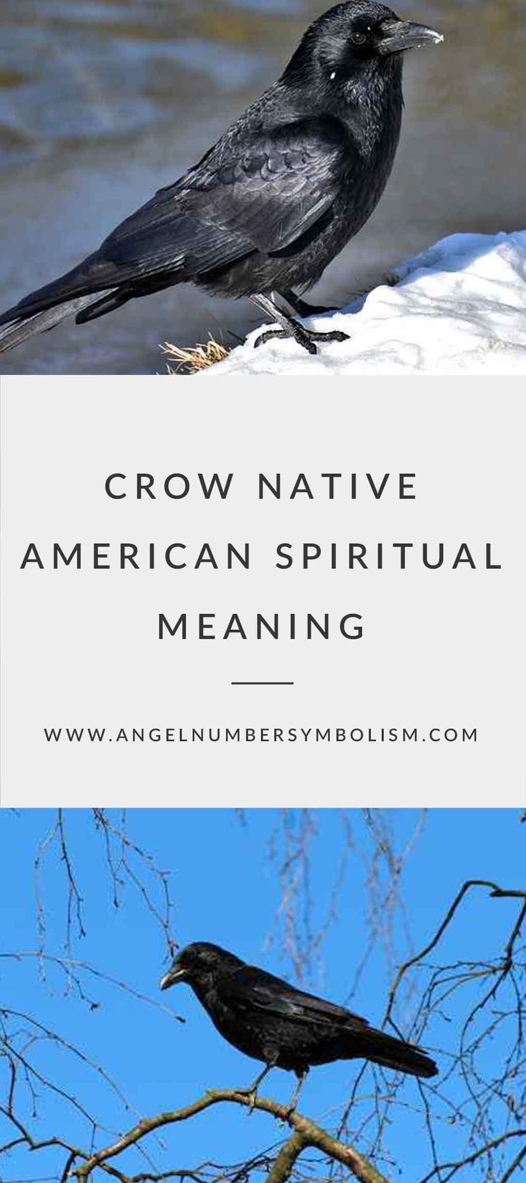 Crow Native American Spiritual Meaning